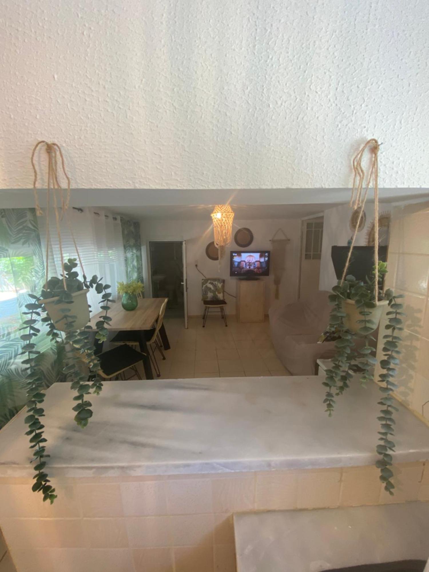 קנאלי Studio Cleopatra מראה חיצוני תמונה
